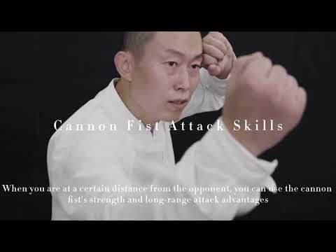 Pao Quan (Cannon Fist) - Powerful Striking Techniques | Xing Yi Quan Combat Applications