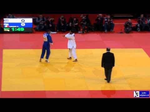 Judo 2013 Grand Slam Paris: Elmont (NED) - Urani (FRA) [-73kg] HD