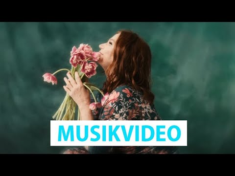 Pe Werner - In deinem Schatten (Offizielles Video)