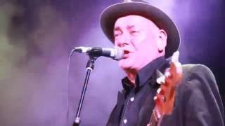 RUTS DC. "Kill the pain" Rebellion 2016. BUTTZ TV