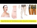 PALPATION OF STOMACH AND SPLEEN CHANNELS