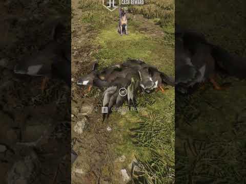 BEST MONEY/XP Making Method - (XP 7k | Cash 28k)  | The Hunter: Call of The WILD