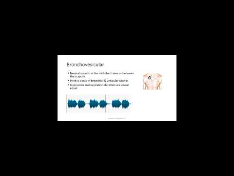 Bronchovesicular