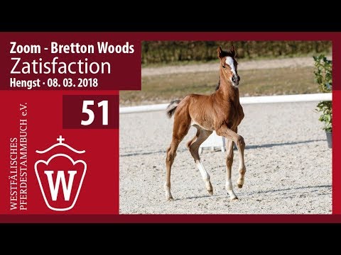 51 Zatisfaction HF v. Zoom - Bretton Woods