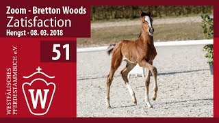 Video koně Zatisfaction