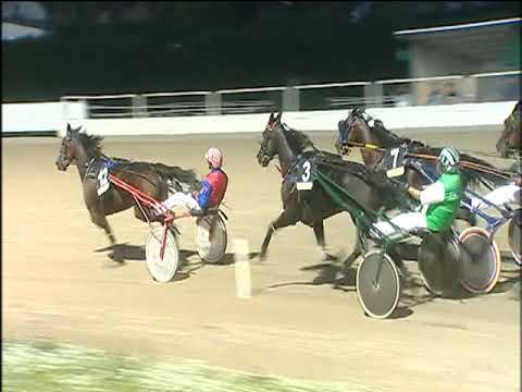 Trotto 13/10/2019 - 8ª corsa