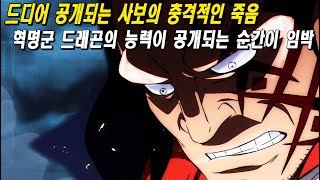 드디어 공개되는 사보의 충격적인 소식 드래곤의 능력이 공개되는 순간임박 원피스 최강자 D의일족의 리더
