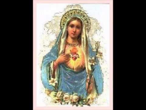 Sermon Padre Pfeiffer Fatima and the Feast Day Boston Kentucky August 22 2013