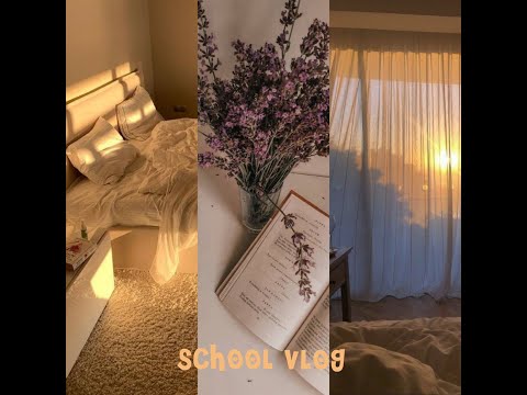 Мой школьный день//VLOG:SCHOOL//Моя жизнь