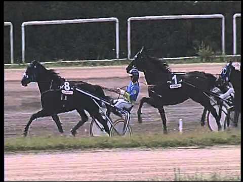 Trotto 24/05/2015 - 2° corsa