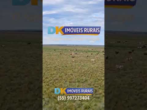 🚜 Arrendamento Rural no RS | Áreas de 200 a 4.500 Hectares 🌾