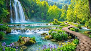 Clear Your Mind 🌿 Peaceful Music to Ease Stress, Anxiety and Overthinking