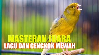 Download lagu MASTERAN KENARI JUARA, KENARI LAGU DAN CENGKOK MEWAH mp3 Download lagu MASTERAN KENARI JUARA, KENARI LAGU DAN CENGKOK MEWAH mp3