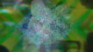 Mac Demarco - Sloopy Lau Lau (slowed)