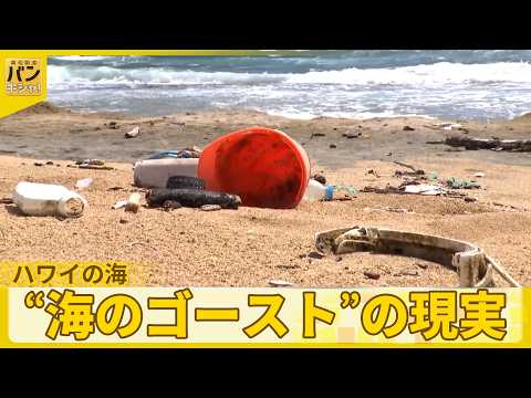 【桝太一Cハワイの海へ】自然豊かな裏側で…漂う“海のゴースト”の現実『バンキシャ！』