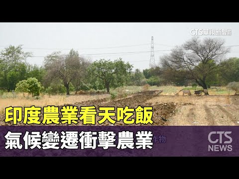印度農業看天吃飯　氣候變遷衝擊農業