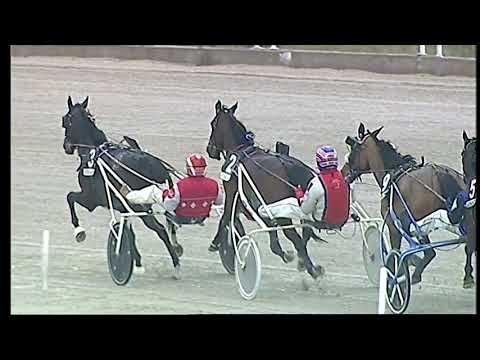 Napoli Trotto 07/02/2021 - 5ª corsa