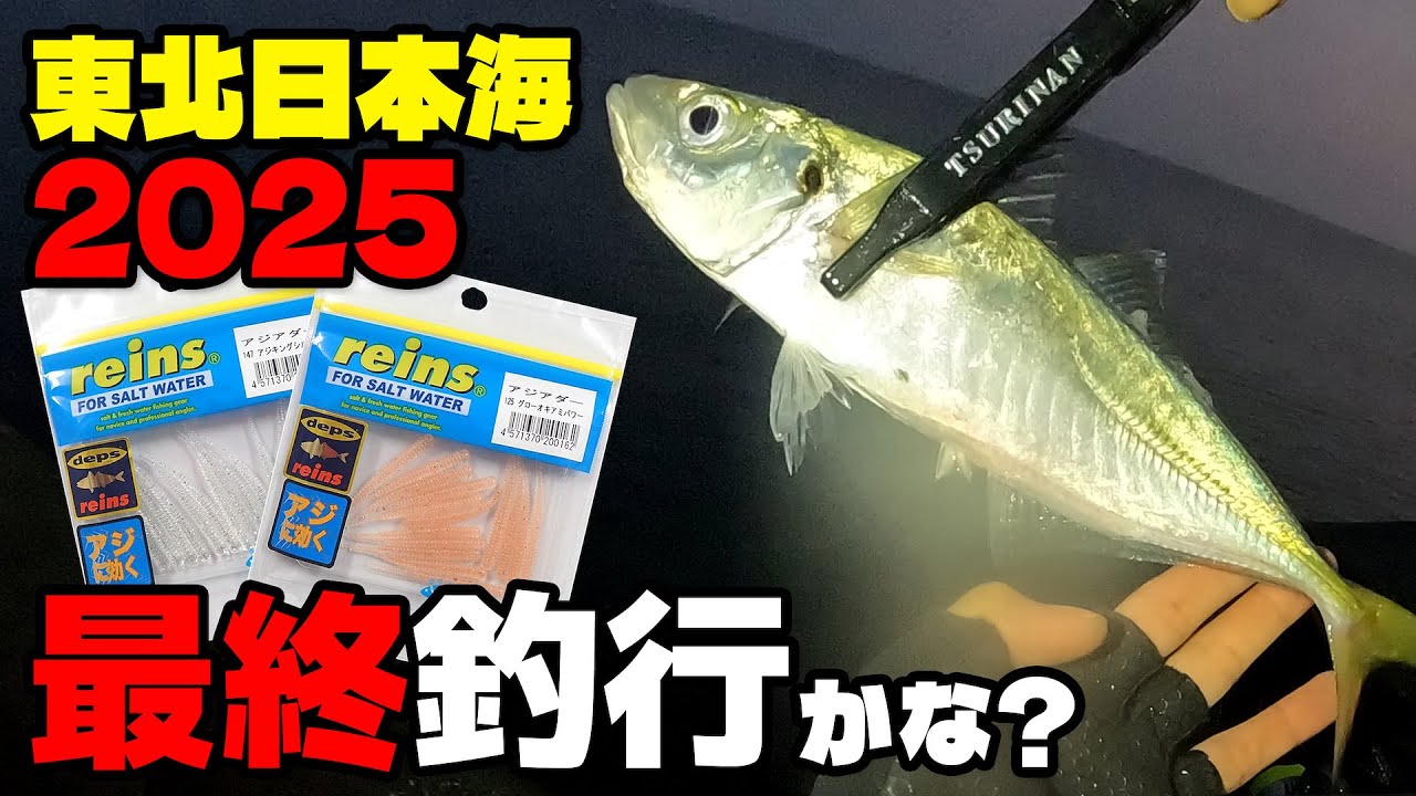【堤防アジング】王道ワームで釣り納め!＆俺のオススメ鯵ingネット