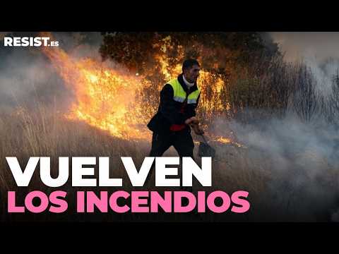 Actuad ya contra los incendios forestales