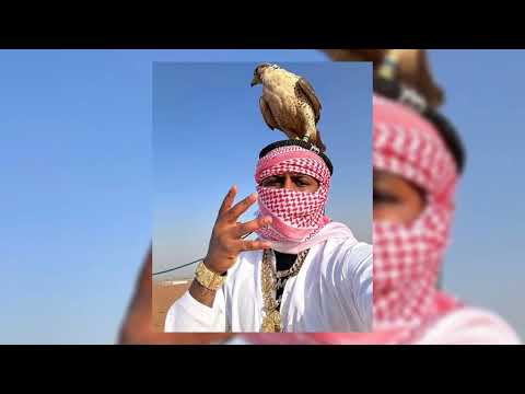 Parte Do IG - Revoada do tubarão 3