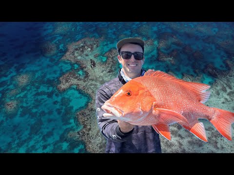 My First RED EMPEROR on the REEF near Townsville