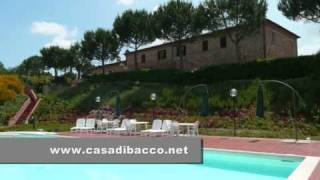 preview picture of video 'www.casadibacco.net Farmhouse Hotel Montepulciano Tuscany Bed and Breakfast'