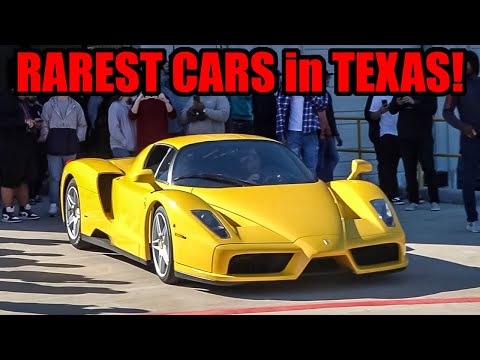 RAREST CARS IN TEXAS SHUT DOWN INSANE CAR SHOW! (Ferrari Enzo and MORE!)