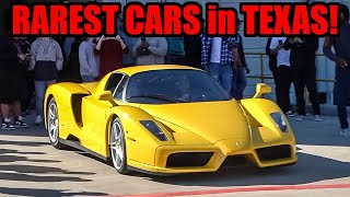 RAREST CARS IN TEXAS SHUT DOWN INSANE CAR SHOW! (Ferrari Enzo and MORE!)