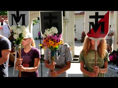 Zielona WAPM 2017 - dzień szósty