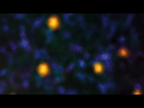 Recondite - Im Regen (2018)