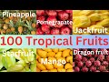 100 Tropical Fruit Names || 100 Essential Fruits for Everyone