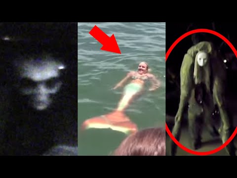 10 Mysterious Creatures Caught on Tape Video