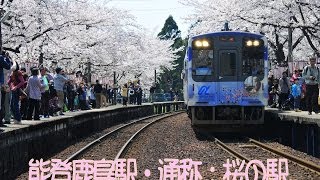 preview picture of video '2014石川県能登鹿島駅　桜の駅'