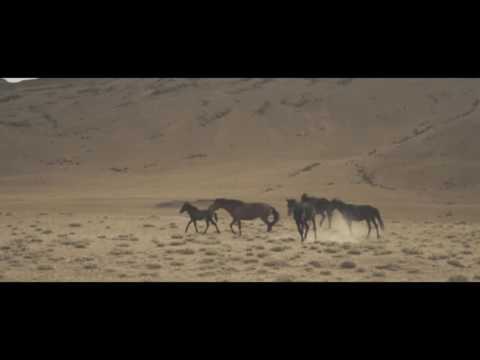 #HO2016 - Day 9 - Leh to Debring