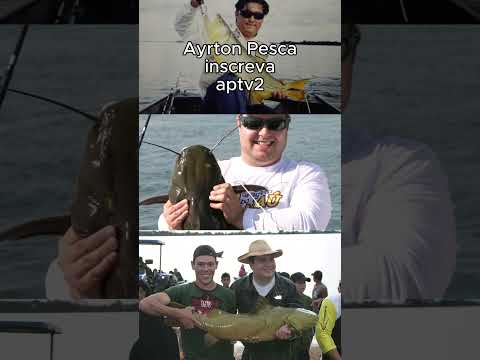 História do porto São José Ayrton pesca #fishing #pesca