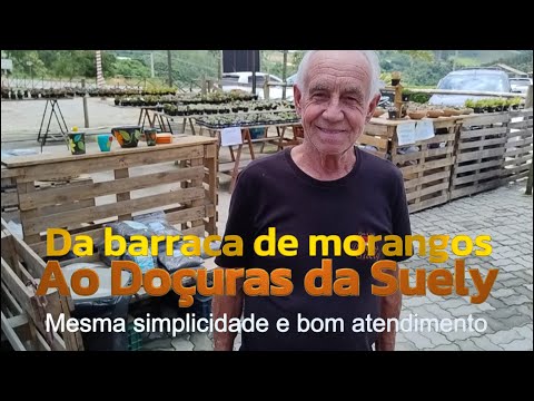Thumbnail de Recordações sobre a colheita de morangos diretamente no solo 🍓