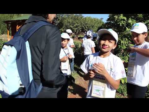 Semeando o Bioma Cerrado na Escola Classe 314 Sul – educação ambiental no Distrito Federal