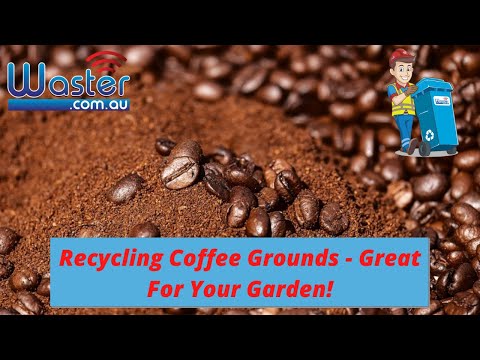 Recycling Coffee Grounds ☕ How To Use Coffee Grounds As Fertilizer!