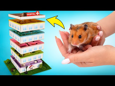 Szpitalny labirynt dla chomika z pięcioma poziomami zrób to sam 🐹🏥 Pomysły DIY dla chomika