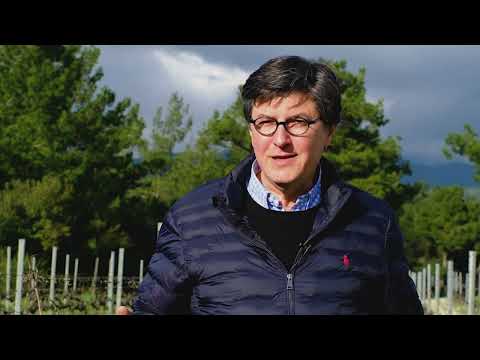 Seyit Karagözoğlu of Paşaeli on Turkish wine