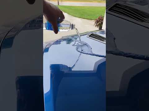 Adam’s Ceramic Coating is not overrated