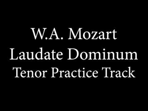 Tenor Demo - Laudate Domimum - Mozart