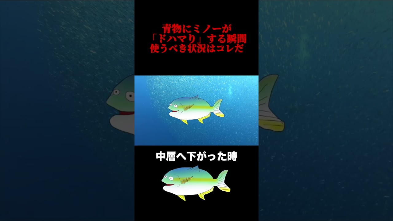 青物でミノーが釣れるのはどんな時か　 #釣り #青物
