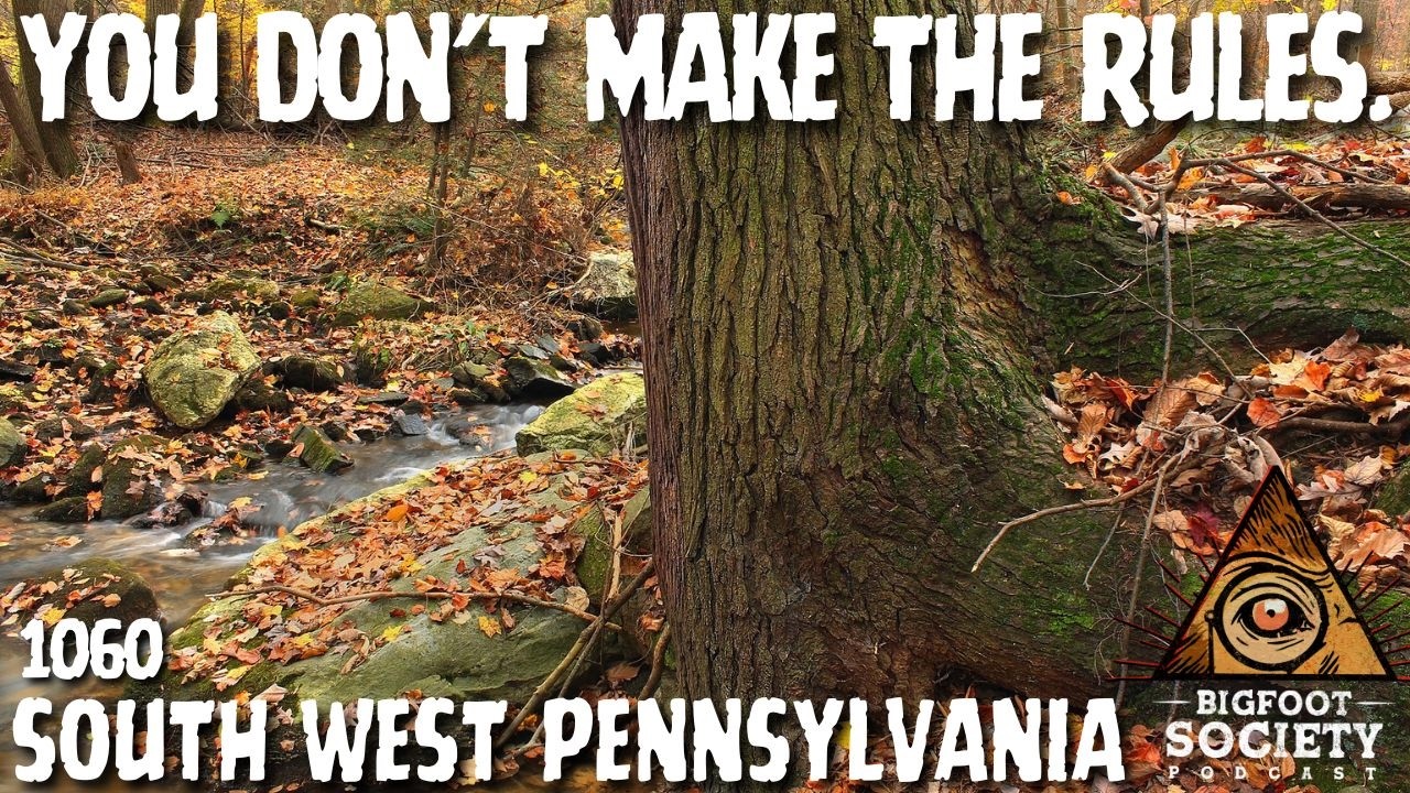 A Western Pennsylvania Energy Worker Shares Her Years of Sasquatch Encounters
