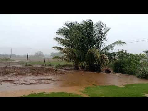 Chuva de Outono. Povoado João Grande, Adustina Bahia