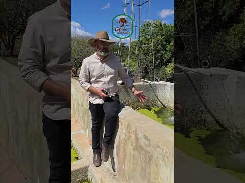 🌾 FAZENDA IMPUEIRAS & ALEXANDRIA – 300 HECTARES COM GRANDE ÁREA DE VÁRZEA NO CARIRI PARAIBANO 🌾