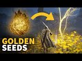 Elden Ring Golden Seeds Guide: Where to Find 25