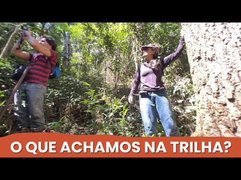 Hiking on our property, looking for new things/Let's go to the countryside?