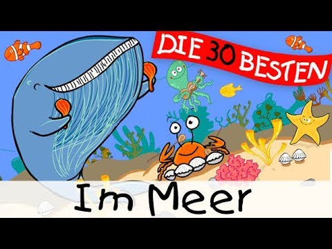 🏞️ Im Meer - Wissenslieder zum Mitsingen || Kinderlieder