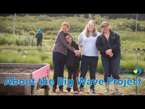 About the Big Wave Project
